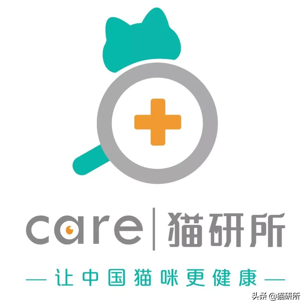 猫咪绝育手术，到底是正切好？还是侧切好？