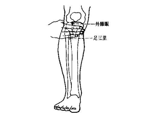 消除脂肪肝的穴位图,消除脂肪肝的穴位