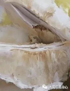 在网上买水果有哪些坑,在网上买水果划算吗