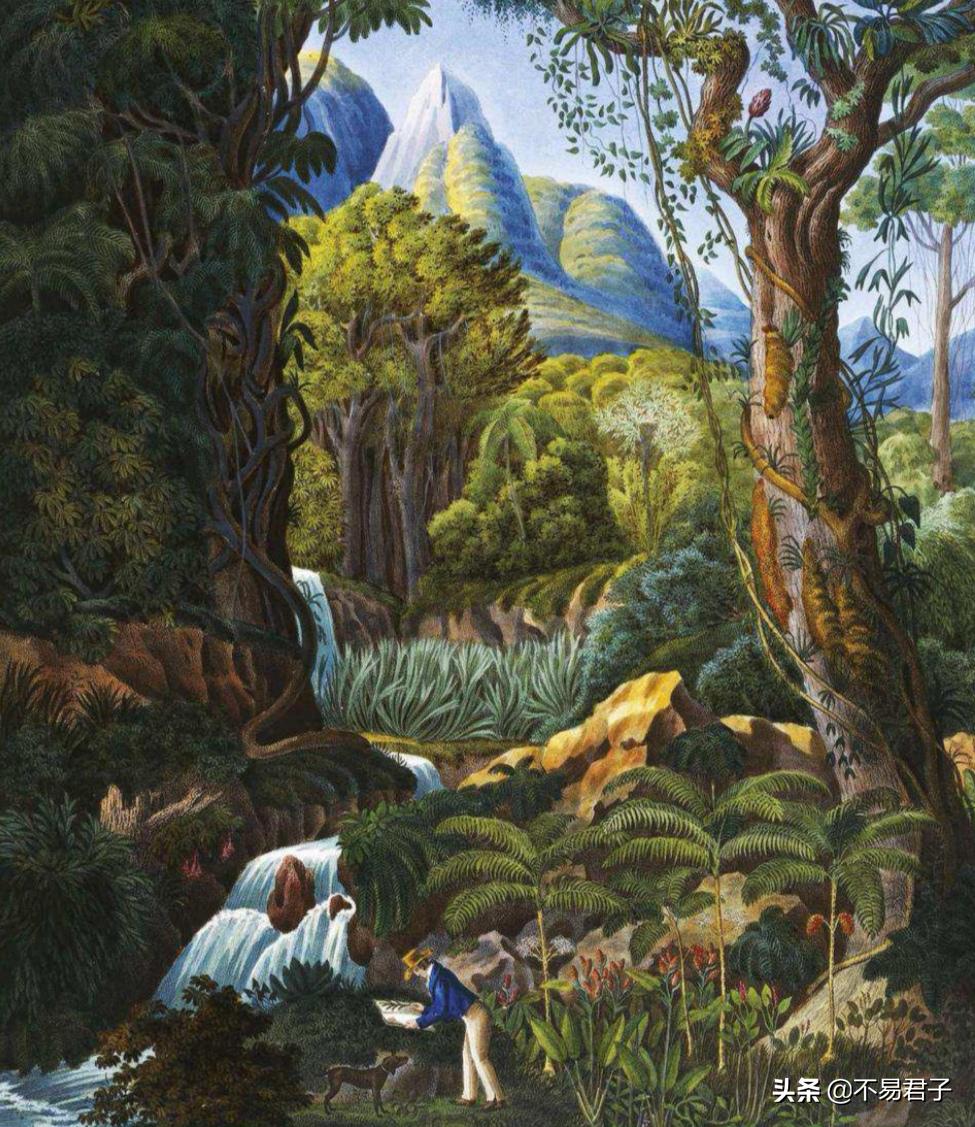 巴西被侵略过吗,巴西一个被上帝垂爱的国度