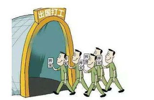 澳大利亚打工收入怎么样,澳大利亚打工真实收入