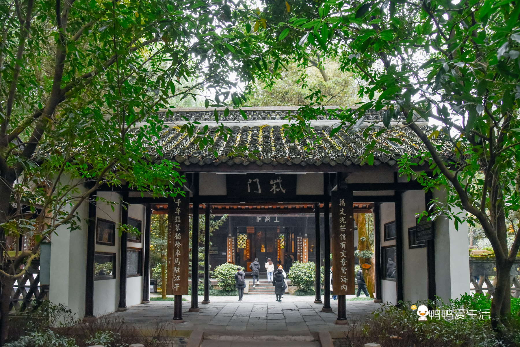 杜甫草堂打卡,成都杜甫草堂浣花溪打卡