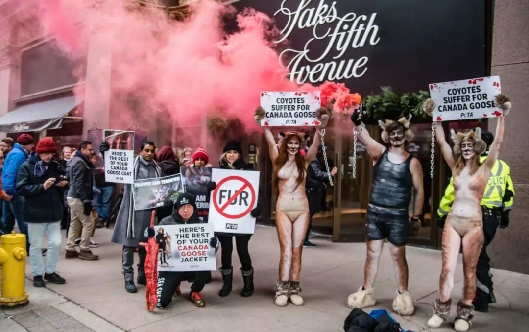 波司登和加拿大鹅比较测试,加拿大鹅vs波司登羽绒服