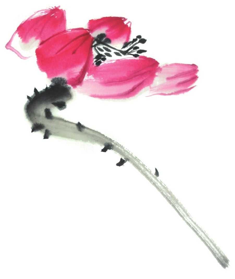 国画刘存惠荷花画法全视频,国画山水画教学视频荷花画法