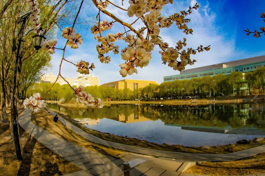 晏湖、清湖：闪耀在吉园的璀璨明珠