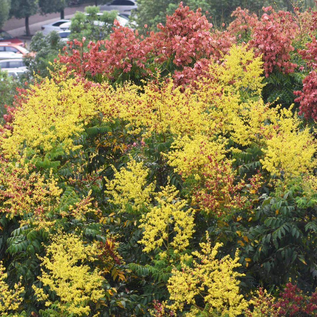 合肥融创茂宝藏秘境,合肥宝藏地