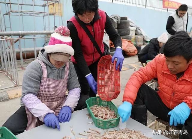 青岛本地人吃的蛎虾是什么虾,大连蛎虾怎么吃