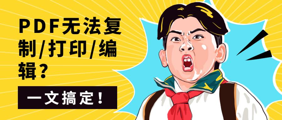pdf怎么设置不能打印和复制,pdf无法复制文本元素