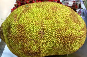 怎么挑选菠萝蜜丝比较少,怎么挑选菠萝蜜绿皮好还是黄皮好