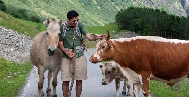 1马力到底有多大？和可以跑的“马”有关系吗？