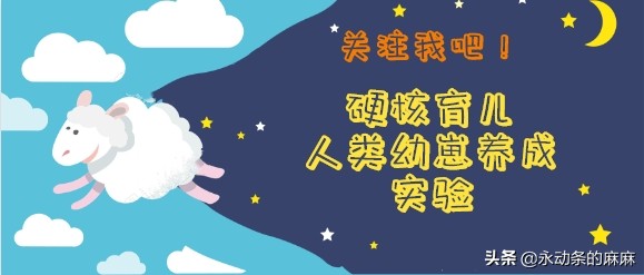 2年给儿子买了100辆玩具车是什么体验？祭出我的玩具车购买攻略