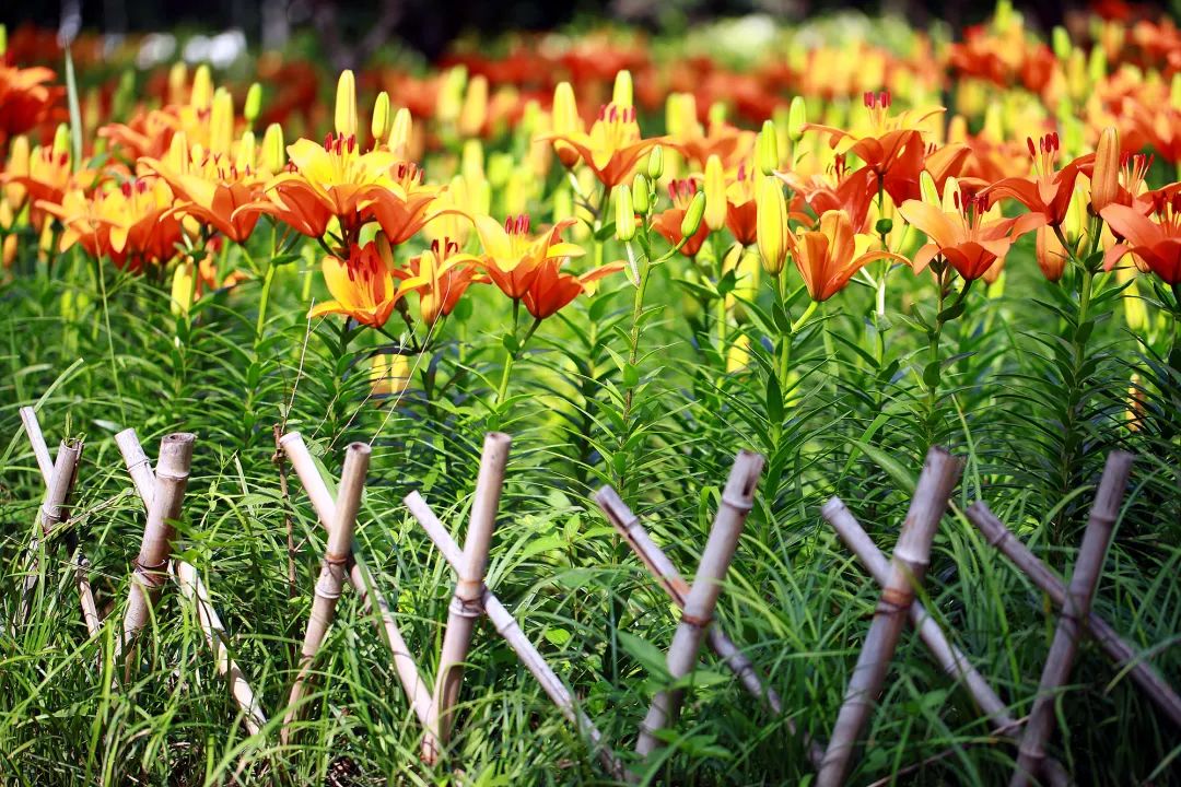 在济南花式避暑，一见“清”心！只需一瞥，便足以把酷夏原谅…