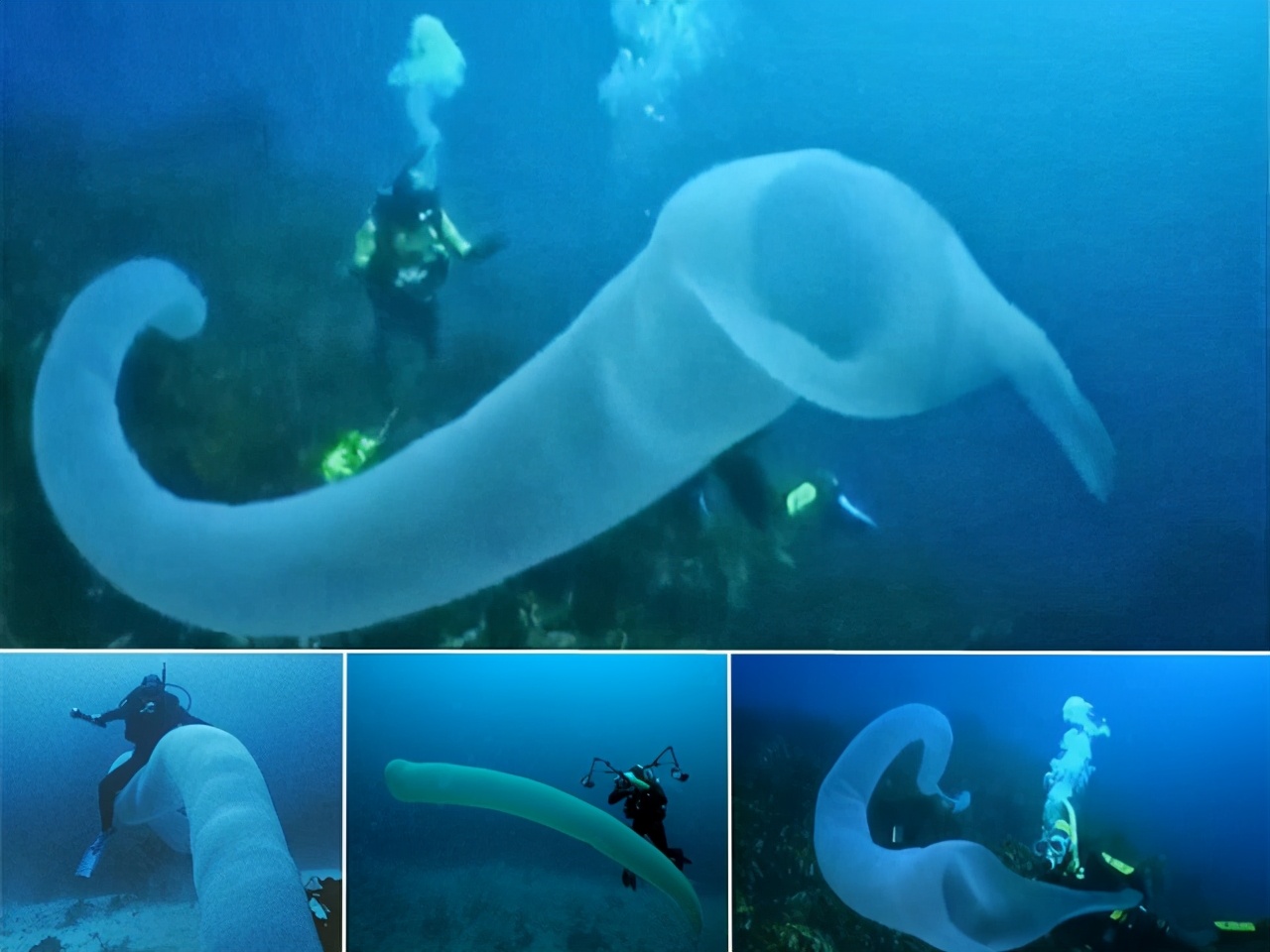 两千年前的水晶杯,两千年前水晶杯