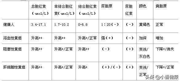 慢性乙肝出现黄疸,慢性乙肝出现黄疸升高严重吗