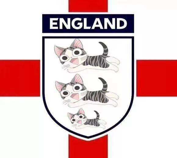 足球界的动物,足球狮子图片