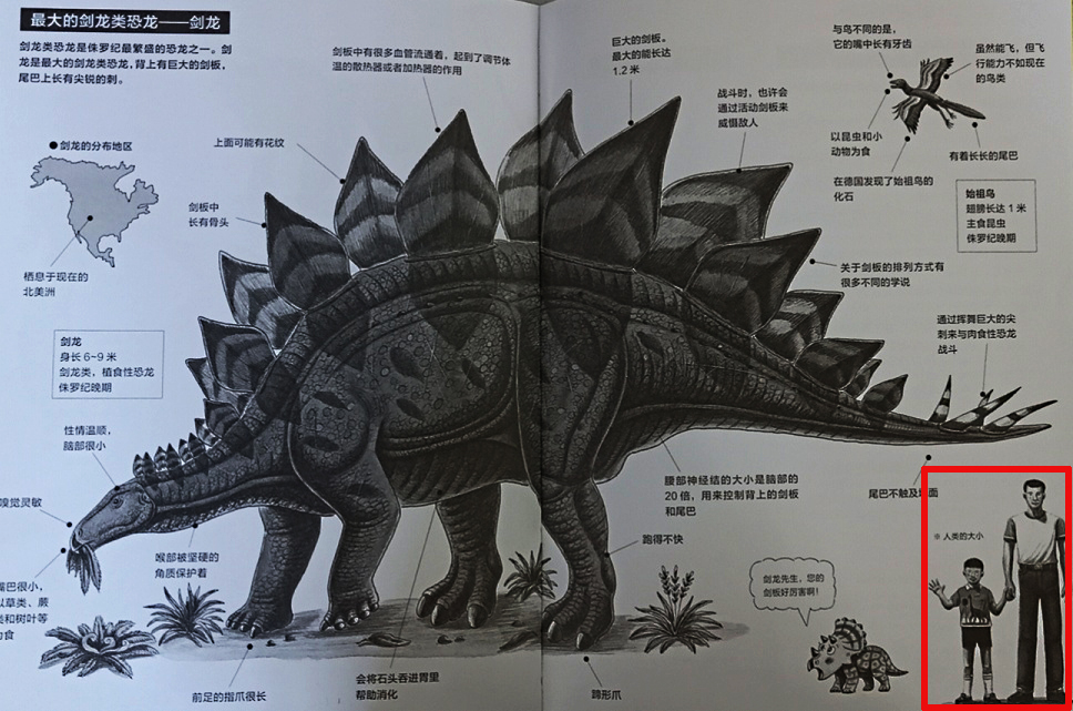 有关恐龙的绘本有哪些,有助于学习的恐龙绘本