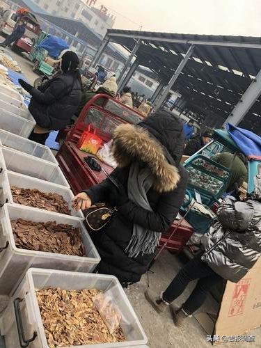 抚松县万良人参交易市场视频,长白山万良人参市场直播