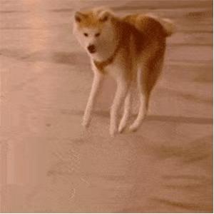 适合晚上听的电台女声,推荐适合妈妈听的电台