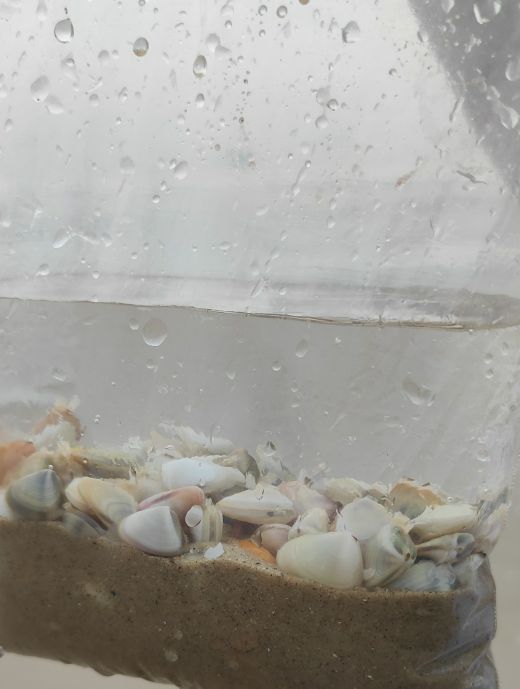 日月湾海滩游记攻略,小众沙滩海边旅游