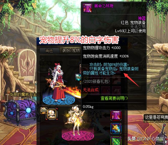 dnf夏日至尊宠物装备,dnf夏日宠物装备是毕业装备吗