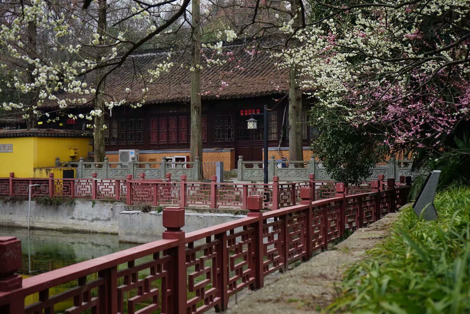 随笔在风华正茂的日子里迷途知返,随笔每一个孩子都值得期待