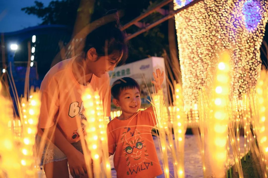 成都南湖梦幻岛嬉水乐园清凉回归,梦幻岛水陆乐园套票