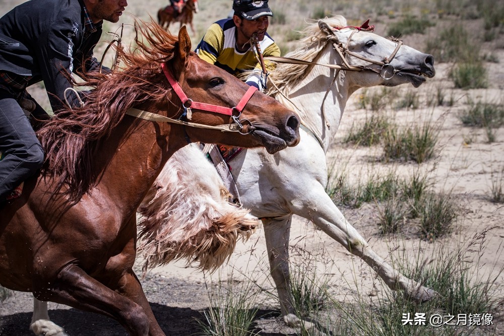 铁血雄鹰全剧,铁血雄鹰全文阅读