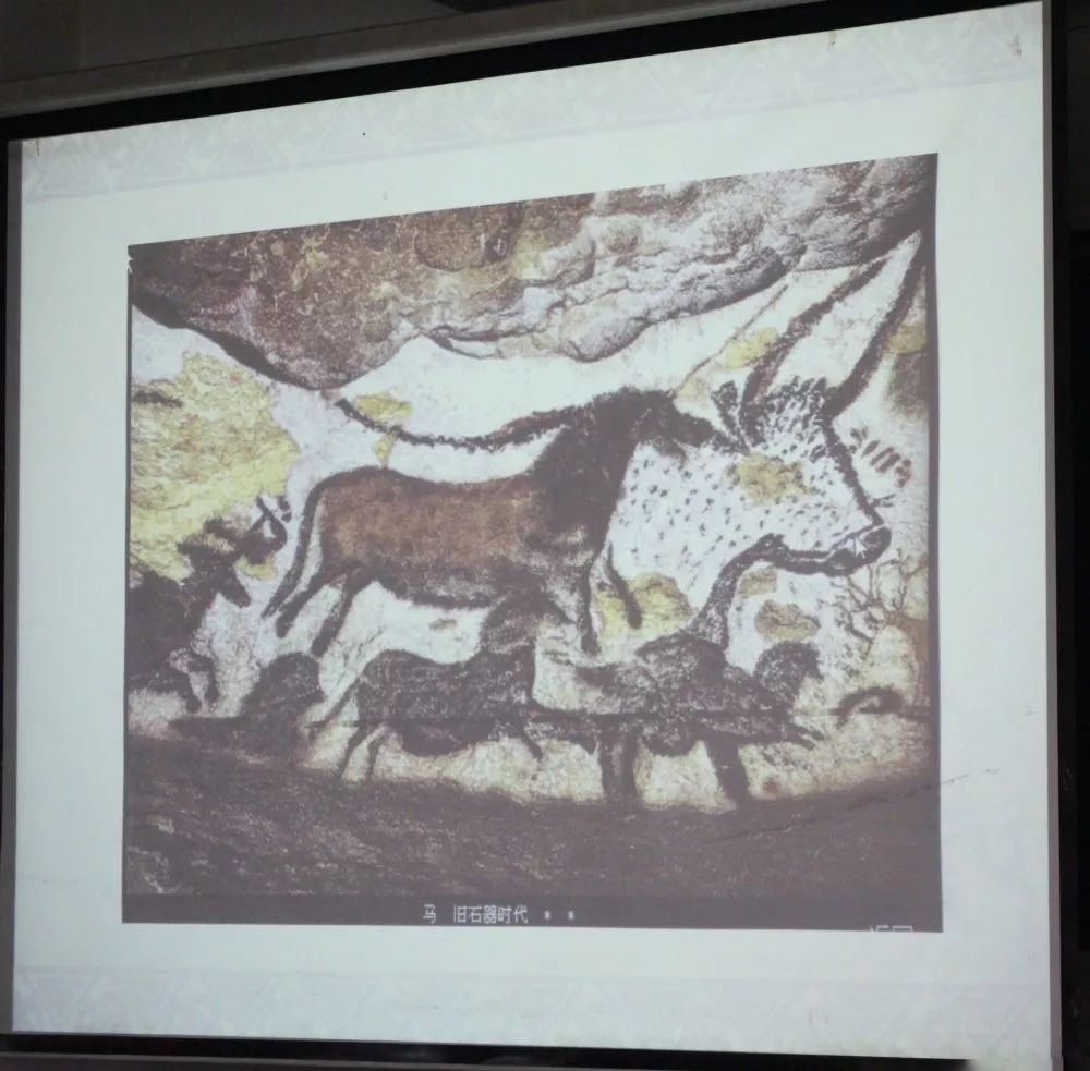 盘点各地大学的“奇葩”选修课,各大高校奇葩的选修课