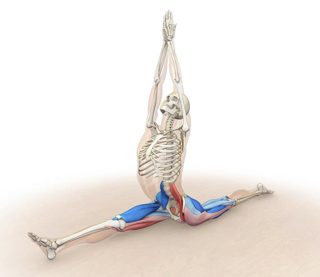 练瑜伽如何放松僵硬紧张的髂腰肌,怎么样解锁瑜伽动作