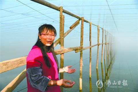 鱼塘养殖利润高,鱼塘养殖高利润