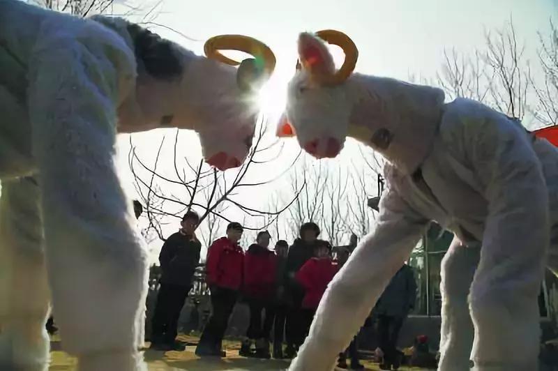 猫咪帮铲屎官接待客人,猫咪礼貌推开铲屎官