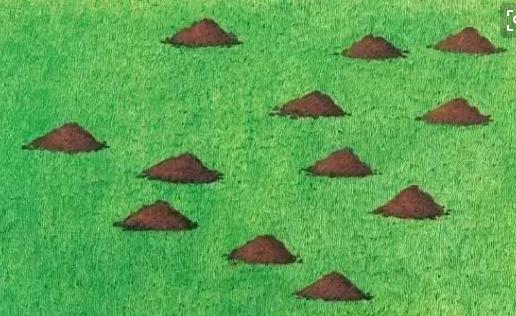 棺材埋在地里为什么要放土堆,棺材埋在地里为什么要放小土堆