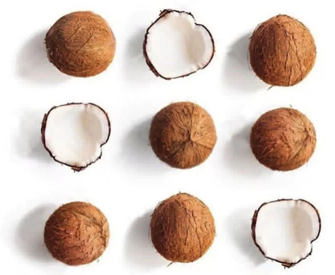 开椰子用口香糖,用口香糖开椰子告诉我们什么道理