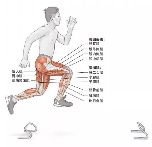 小跨栏下肢爆发力,田径跨栏爆发力训练方法
