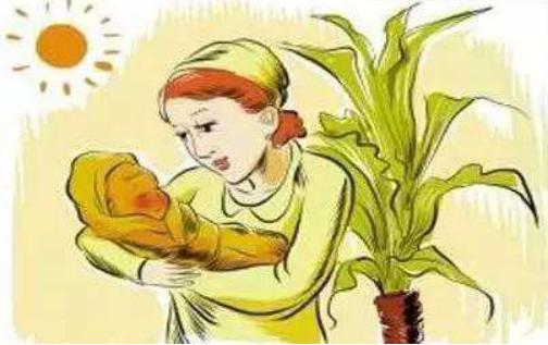 儿科晒黄疸的正确方法,新生儿晒太阳退黄疸正确方法