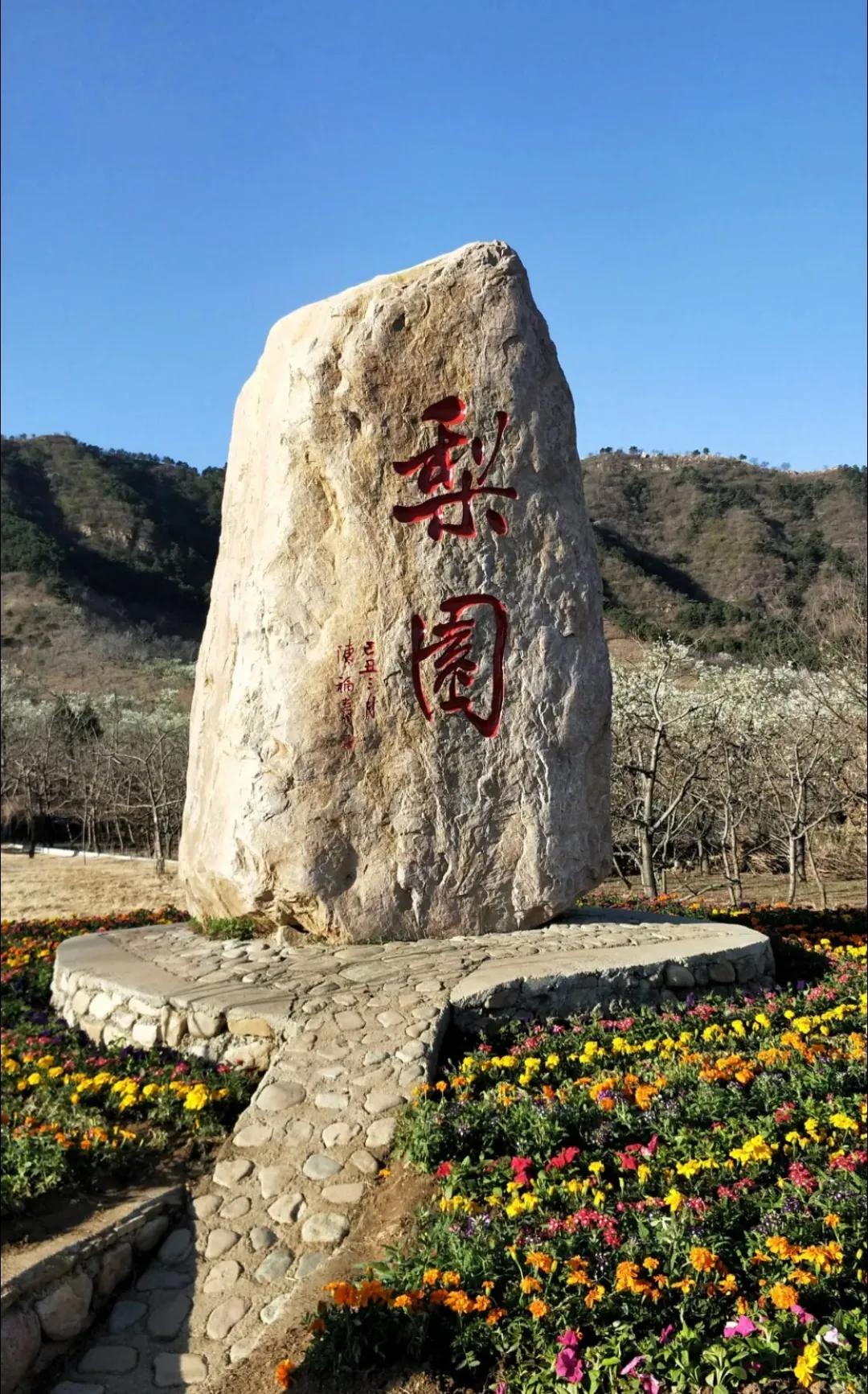 一个不出郑州的踏青好去处,天津春游公园推荐