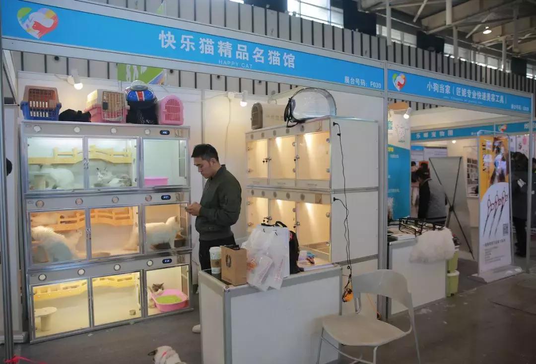 萌宠齐聚南京宠物博览会,day1