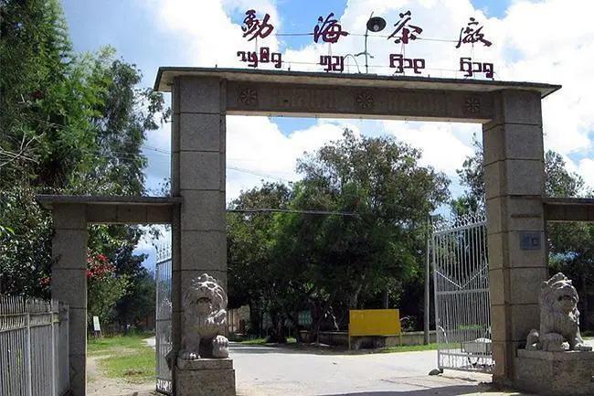 普洱茶可以配什么一起喝,你们配喝普洱茶吗