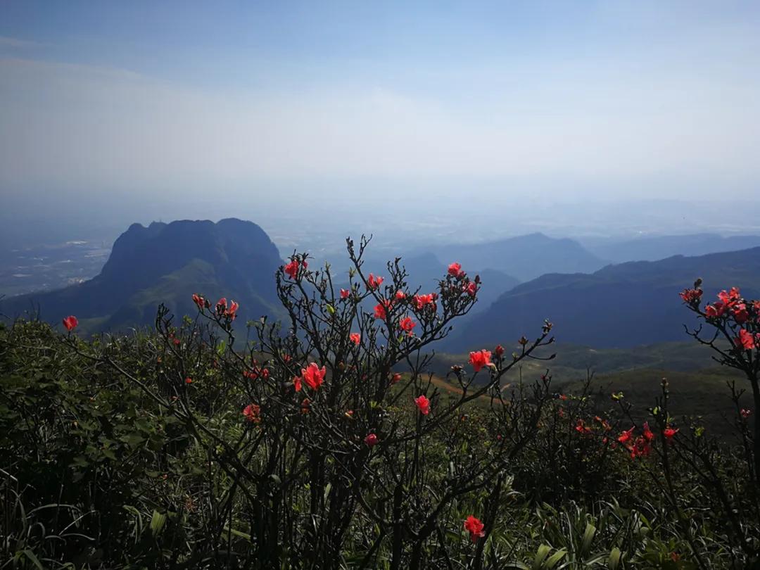 平天山航拍,卫星航拍平天山