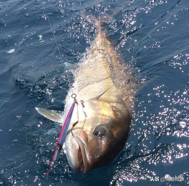 最好的海钓钓位选择,在海钓中如何找到原来的钓点