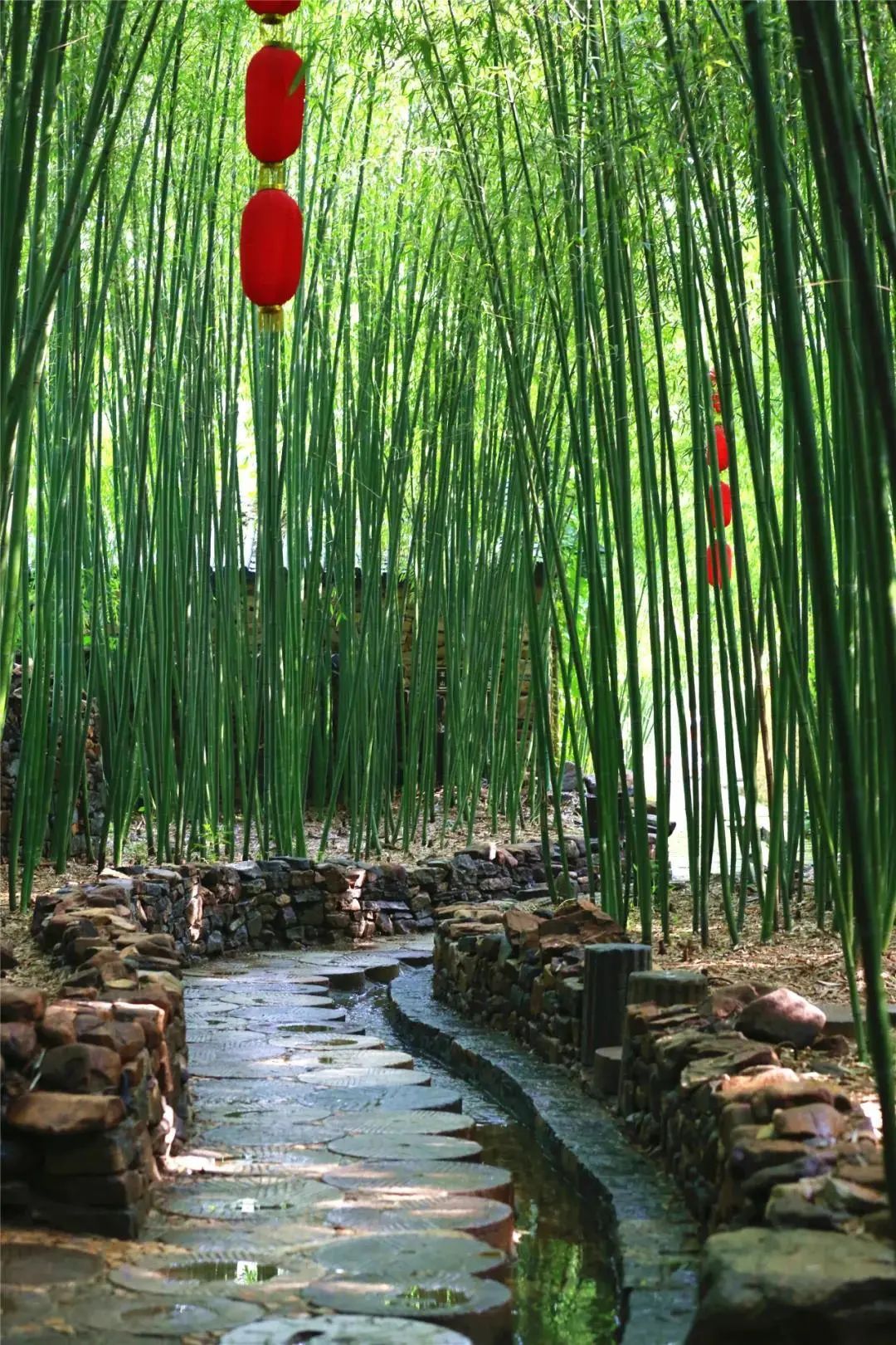 这座透露着古韵之美的城市,这座城市里藏着很多好玩的秘密