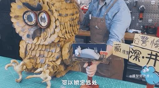 猫头鹰怎么摸眼睛,猫头鹰怎样抓蛇的视频