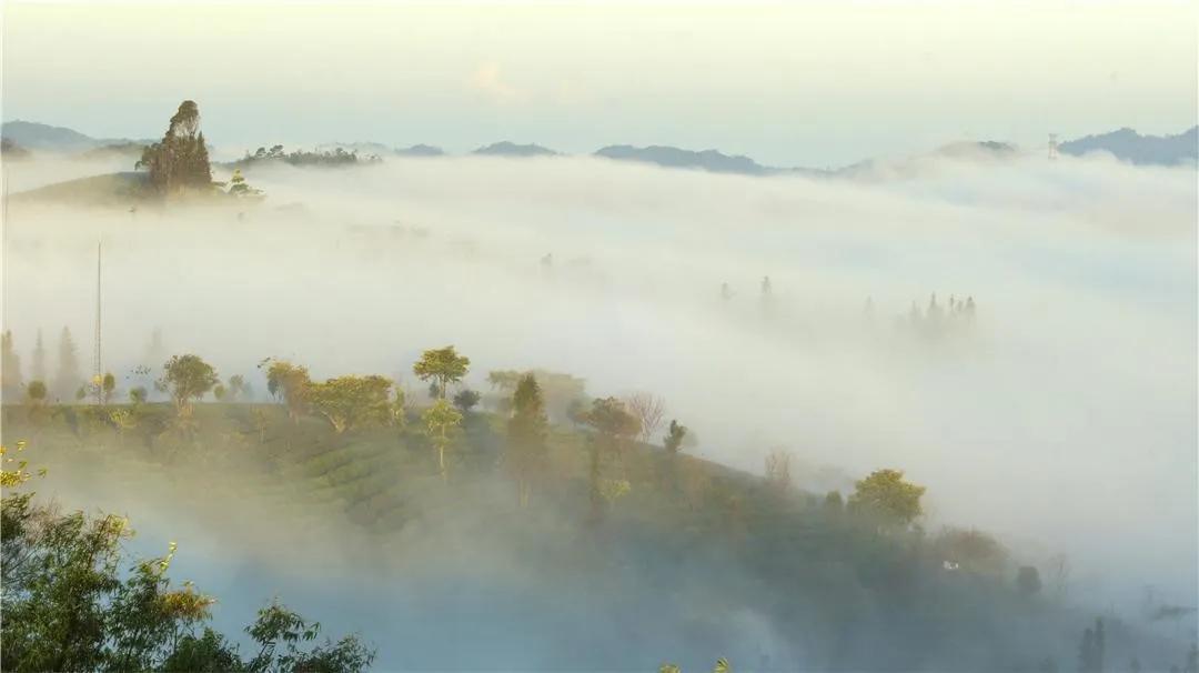 来看看那些云南元素满满的影视剧,这些让人难以忘怀的镜头