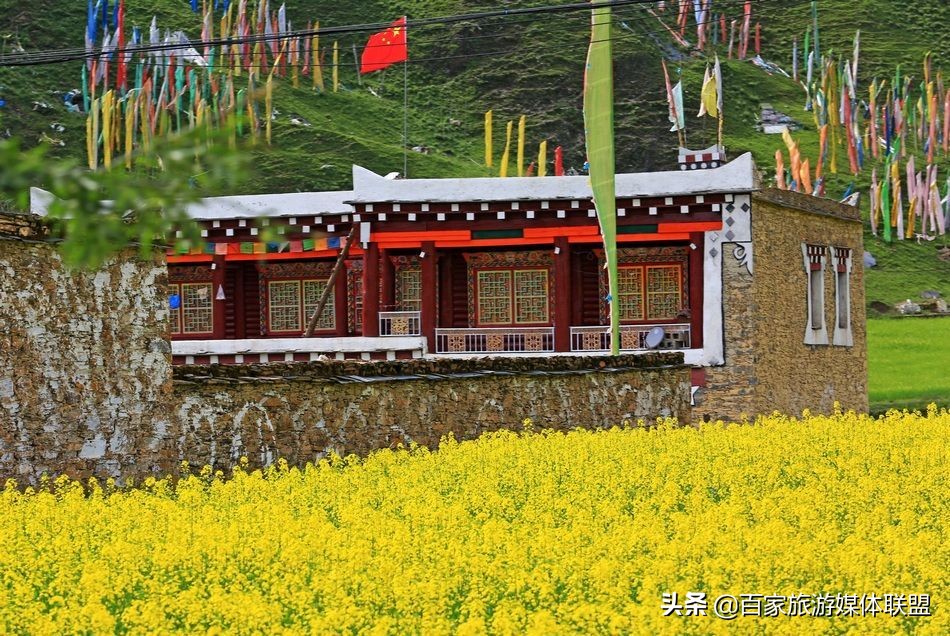 藏民门口旗帜代表什么,藏民挂满彩旗的是啥