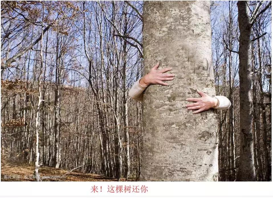 闆忛拱鍐滅墽鍊哄姟,闆忛拱鍐滅墽鍚庣画璧板娍