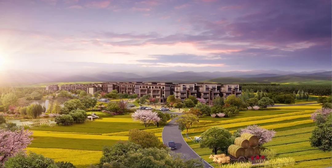 也太太太太太太太太美了吧！