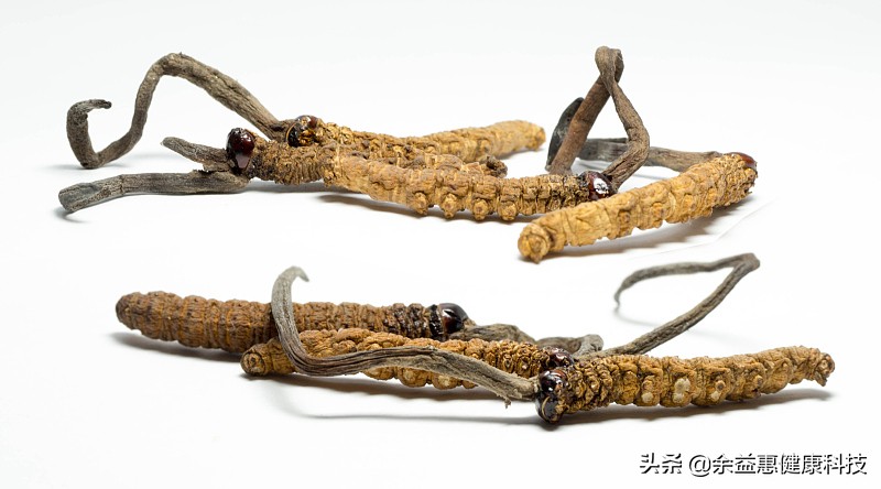 印度神油大数据:哪个地区的人最关注?