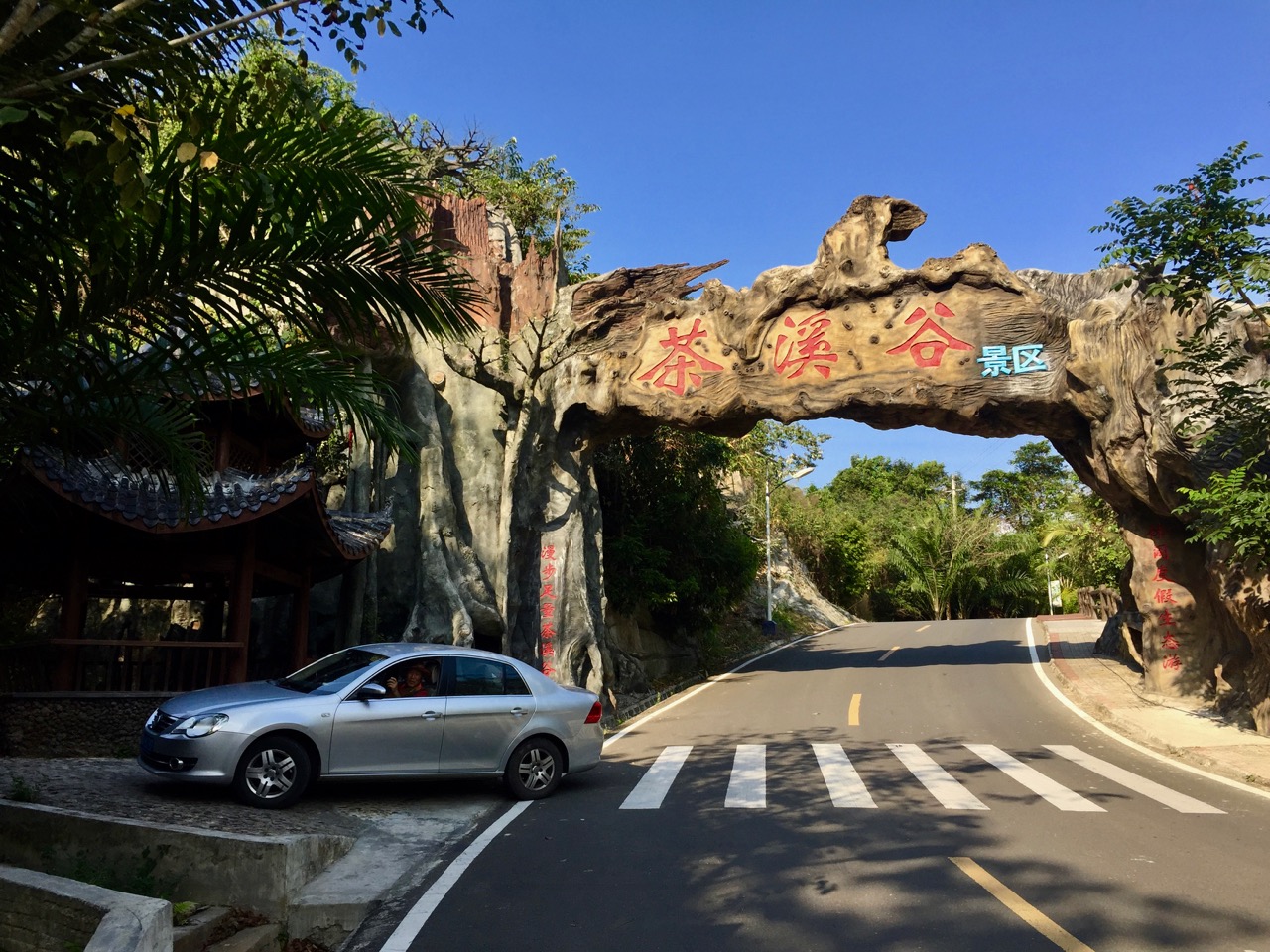 海南候鸟旅行,内陆候鸟自驾海南过冬