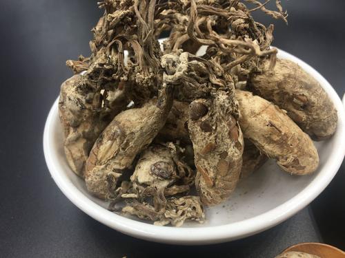 干货的它180元一两，只生长在大山里