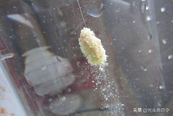 夏天小鱼多怎样钓鲫鱼用什么饵料,小鱼闹窝能不能在饵料里面加粘粉